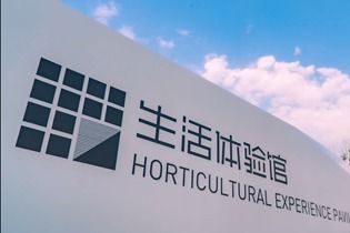 茶界影像 中國網