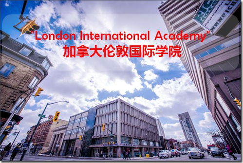 簽證與移民顧問在深圳國際學校的職業機遇