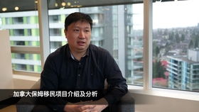 加拿大移民顧問 職責與運作機制