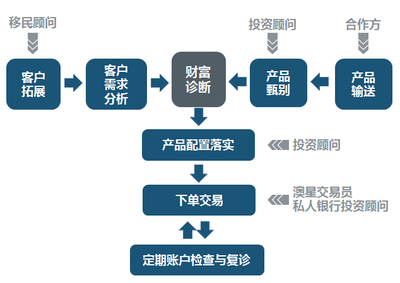 全面解析 移民顧問如何為您定制專屬海外規劃方案