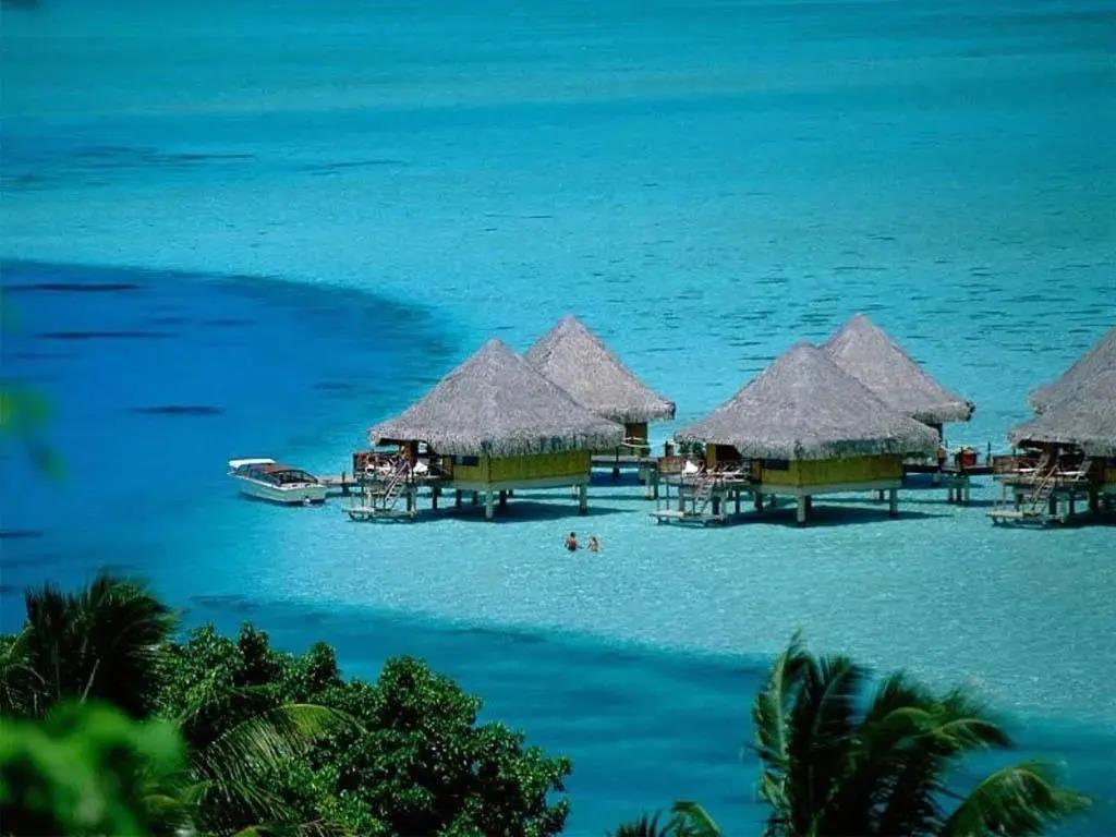 深圳洲際移民投資顧問 專業護航，開啟海外生活新篇章